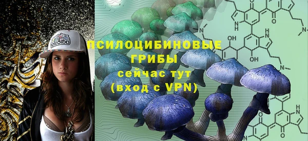 кокс Михайлов