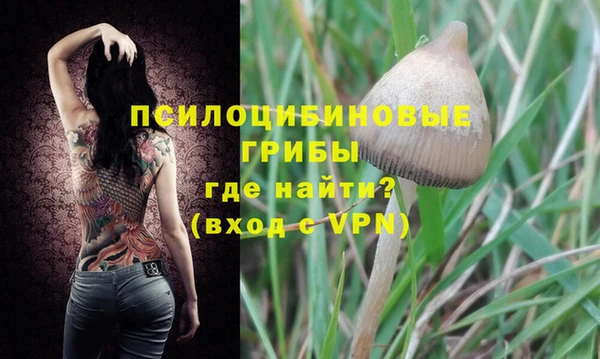 кокс Михайлов