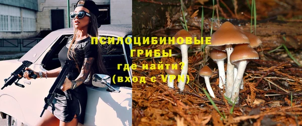 бошки Михайловск