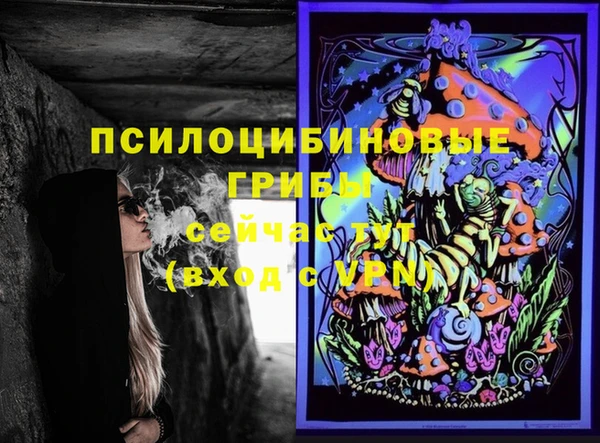 кокс Михайлов