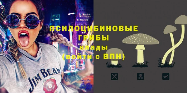 кокс Михайлов