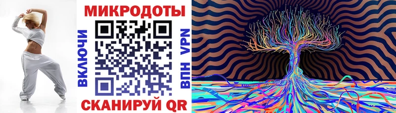 сколько стоит  Мытищи  Псилоцибиновые грибы Cubensis 