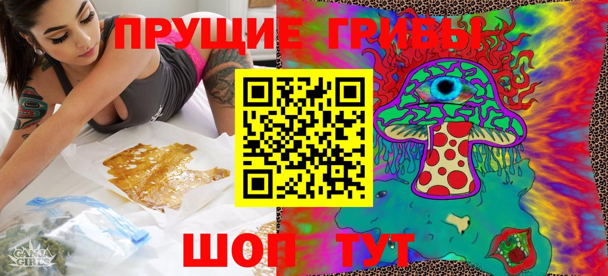 Псилоцибиновые грибы Cubensis Мытищи